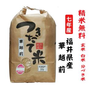 新米 令和6年産 重永農産 コシヒカリ 10kg 送料無料 受注精米