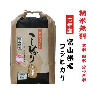 コシヒカリ 【 精米 】令和7年産_富山県産 となみ野 こしひかり 5kg