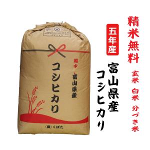 5年産  コシヒカリ 富山県産 玄米30Kg 白米・７分づき・５分づき・３分づき・玄米・精米無料｜kome-nara