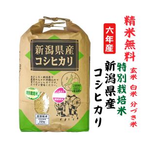 ヒノヒカリ 新米6年産 ひのひかり 奈良県産 玄米10Kg 白米・7分 ヒノヒカリ 新米6年産 ひのひかり 奈良県産 玄米10Kg 白米・7分