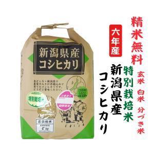 ヒノヒカリ 新米6年産 ひのひかり 奈良県産 玄米10Kg 白米・7分 ヒノヒカリ 新米6年産 ひのひかり 奈良県産 玄米10Kg 白米・7分