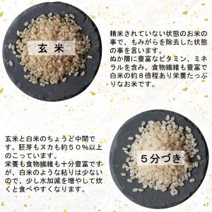 お米 米 10kg ひとめぼれ 令和7年産 送...の詳細画像3