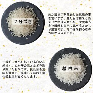 お米 米 10kg ひとめぼれ 令和7年産 送...の詳細画像4