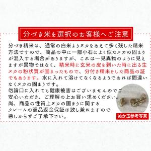 お米 米 10kg ひとめぼれ 令和7年産 送...の詳細画像5