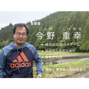 お米 米 10kg ひとめぼれ 令和7年産 送...の詳細画像1
