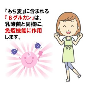 もち麦 1kg 国産100% メール便 送料無料の詳細画像1