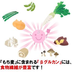 もち麦 1kg 国産100% メール便 送料無料の詳細画像2
