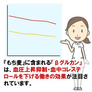 もち麦 1kg 国産100% メール便 送料無料の詳細画像3