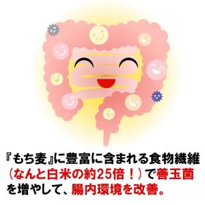 もち麦 1kg 国産100% メール便 送料無料の詳細画像4
