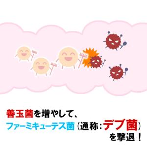 もち麦 1kg 国産100% メール便 送料無料の詳細画像5