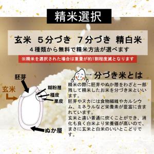 お米 米 10kg つや姫 令和7年産 送料無...の詳細画像1