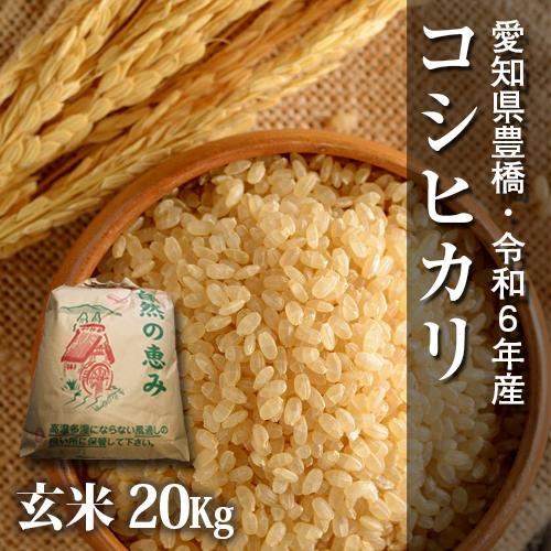 【令和7年・愛知県豊橋産・送料無料】コシヒカリ・20kg（節減対象農薬6割減・玄米）