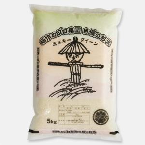 新米 ミルキークイーン 米 5kg 広島県産(5年産) 広島県産ミルキークイーン 精白米 5kg　｜こめ奉行稲作のプロ集団のお米