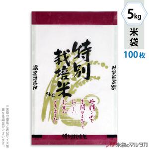 米袋 雲龍和紙 フレブレス 特別栽培米 豊かな大地 5kg用 100枚セット MK-0770｜komebukuro