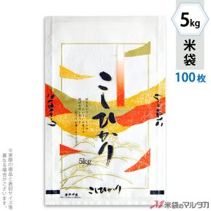 米袋 雲龍和紙 フレブレス こしひかり 錦 5kg用 100枚セット MK-0840｜komebukuro