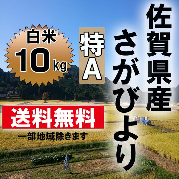 【令和５年産】　佐賀県産　さがびより　白米１０ｋｇ 送料無料　13年連続特A受賞米 