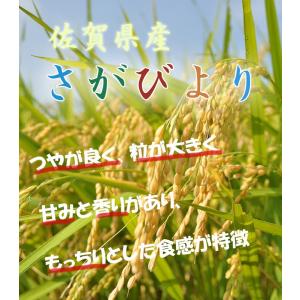 【令和7年産】 佐賀県産 さがびより 白米10...の詳細画像1