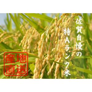 【令和7年産】 佐賀県産 さがびより 白米10...の詳細画像2