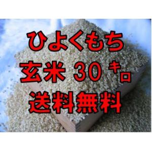 【令和５年産】【１等米限定】佐賀県産　ヒヨクモチ　玄米30ｋｇ　送料無料 日本三大もち米処 佐賀より...