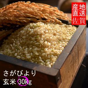 【令和5年産】【１等米限定】【佐賀から直送】さがびより 産地厳選 送料無料 　玄米３０kｇ 　佐賀県産｜米処 稲穂屋