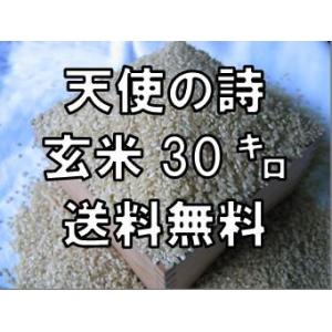 夢しずく 【令和7年産 】【1等米限定】夢しずく 玄米30kg 九州