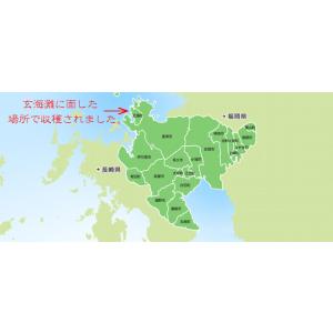 【令和8年産 新米】【1等米】佐賀県上場地区コ...の詳細画像1