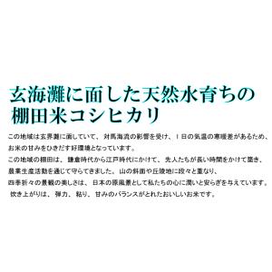 【令和8年産 新米】【1等米】佐賀県上場地区コ...の詳細画像2