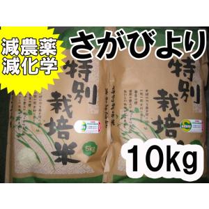さがびより 【令和7年産】【1等米限定】【佐賀から直送】さがびより