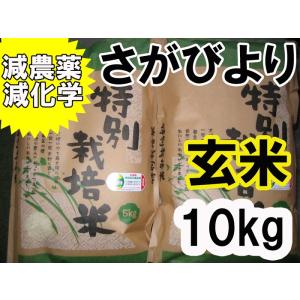 さがびより 【令和7年産】【1等米限定】【佐賀から直送】さがびより