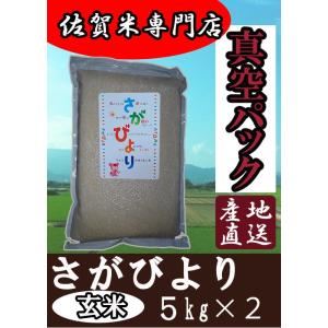 【真空パック　玄米　５ｋｇ×２】【令和５年産　新米】佐賀県産　さがびより　産地直送　特Ａ米