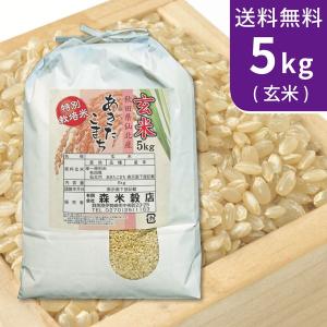 送料無料(北海道・九州・沖縄除く)令和5年産 玄米 こだわり！特別栽培米秋田県仙北産あきたこまち5kg｜komedonya