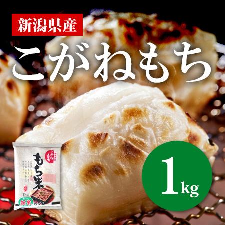 【送料無料(北海道・九州・沖縄除く)】令和7年産 【もち米】新潟県産こがねもち 1kg