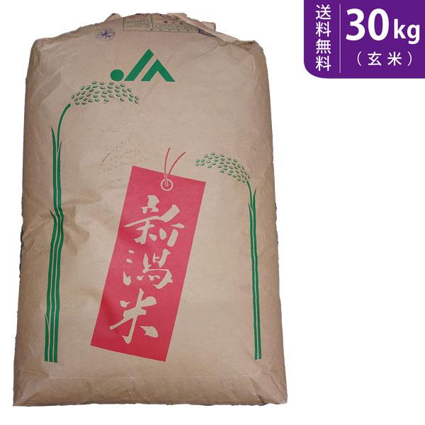 【送料無料(北海道・九州・沖縄除く)】令和7年産 新米【玄米】 新潟県産新之助 30kg