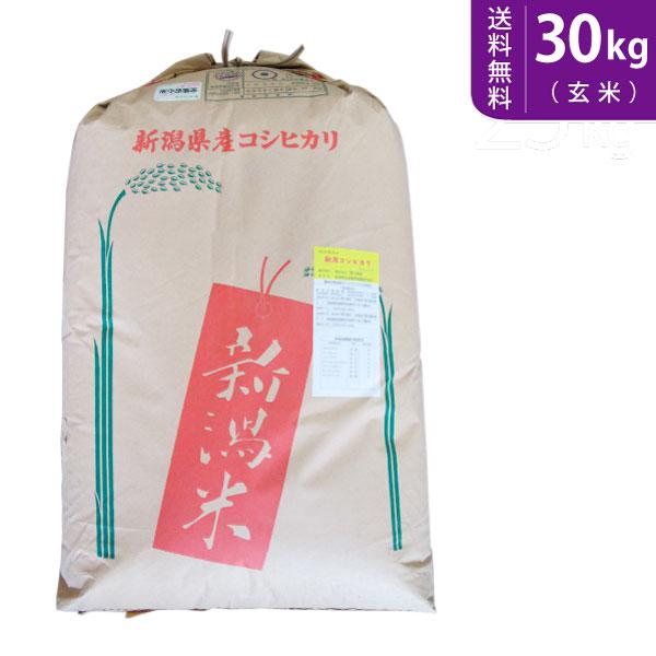 送料無料(北海道・九州・沖縄除く)令和5年産 新米 こだわり！特別栽培米新潟県阿賀野産コシヒカリ（玄...