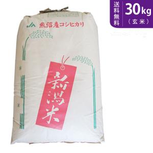 コシヒカリ 玄米 30kg 米 魚沼産 特A 一等 令和7年（魚沼 生産農家 米