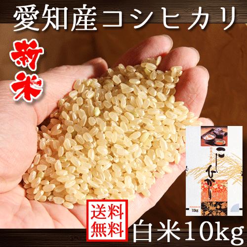 コシヒカリ 令和5年産 愛知 白米 10kg