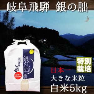 ハウス食品 キャップ付きドリンクベース チャイ 800g 業務用