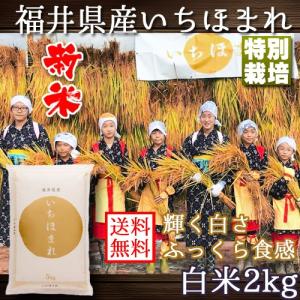 いちほまれ 福井県産 令和5年産 2kg 特別栽培