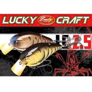 LUCKY CRAFT（ラッキークラフト） 金魚 小赤40S : ハピネット