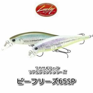 LUCKY CRAFT（ラッキークラフト） 【メール便可】ラッキークラフト