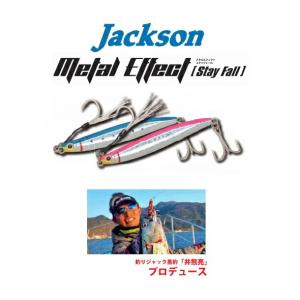 ジャクソン　メタルエフェクト ステイフォール　40g　メール便配送可能数は8個までです