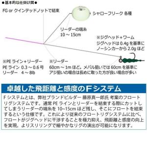 アルカジックジャパン シャローフリークF【メー...の詳細画像2