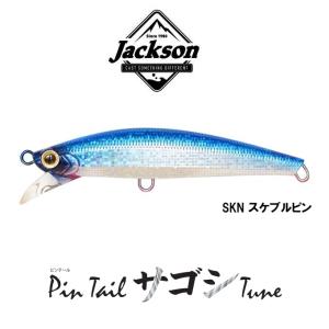 WaterLand（ウォーターランド） ソニクラ 205SS【メール便可】 : 米源