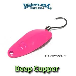 管釣り引退 ウォーターランド ディープカッパー25枚ケース付 まとめ売り 管釣り引退 ウォーターランド ディープカッパー25枚ケース付