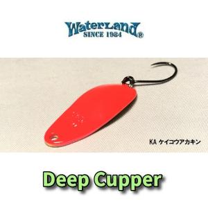 2025年10月】ルアー ディープカッパー（WaterLand／ルアー