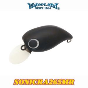 ワイルドルアーズ ワイルドビート スローシンキング WILD LURES WILD