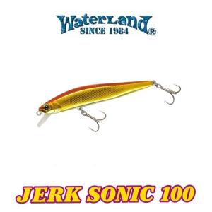 WaterLand（ウォーターランド） ジャークソニック55(JERKSONIC 55