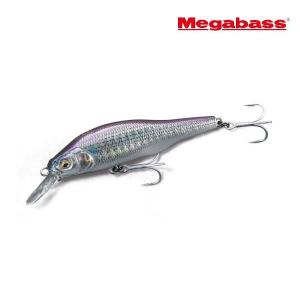 Megabass（メガバス） 【全12色】 ラテス フィーディングウーハー(バス