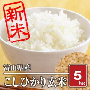 富山県産 こしひかり(令和5年) 5kg【玄米】｜komegura85