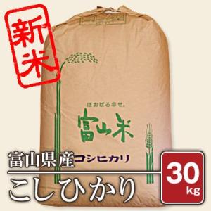富山県産 こしひかり(令和5年) 30kg【玄米】｜komegura85